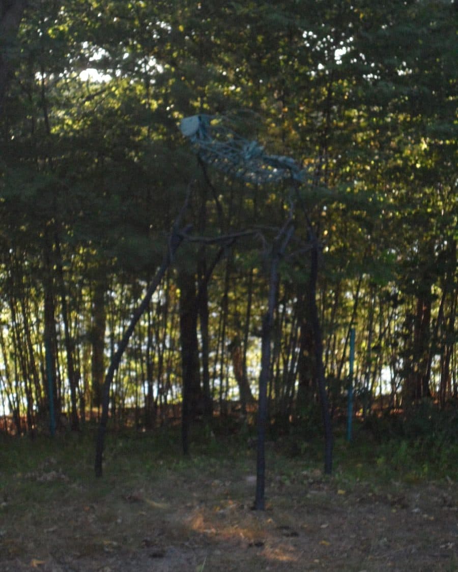 deCordova Sculpture Park