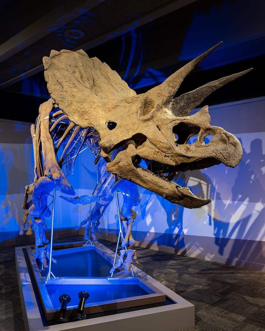 Museum of Science
